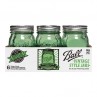 BALL Green 16oz R/M Pint Jars - โหลแก้วถนอมอาหารบอลล์สีเขียว 16 ออนซ์